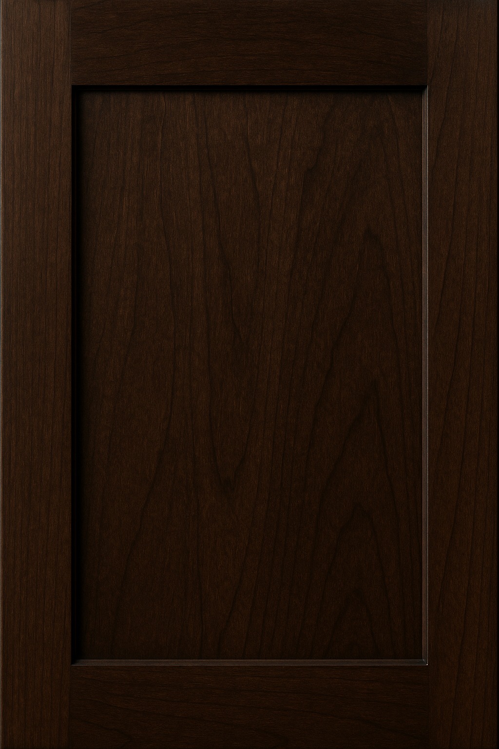 Shaker cabinet door in Dark Walnut stain