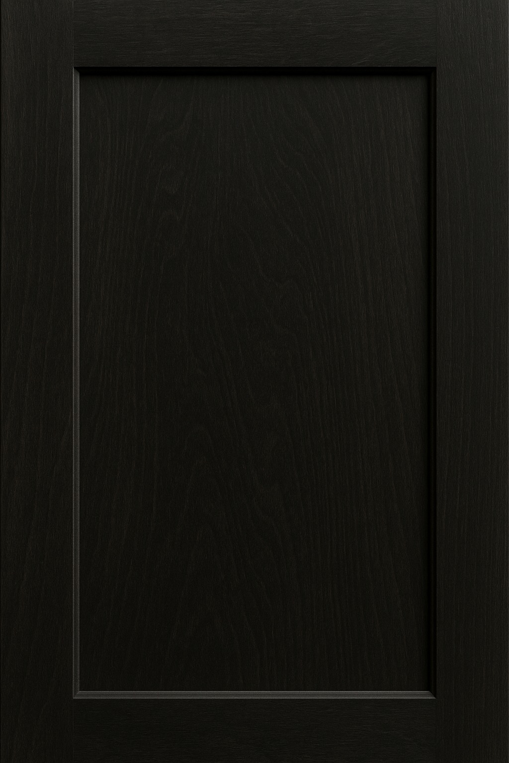 Shaker cabinet door in Ebony stain