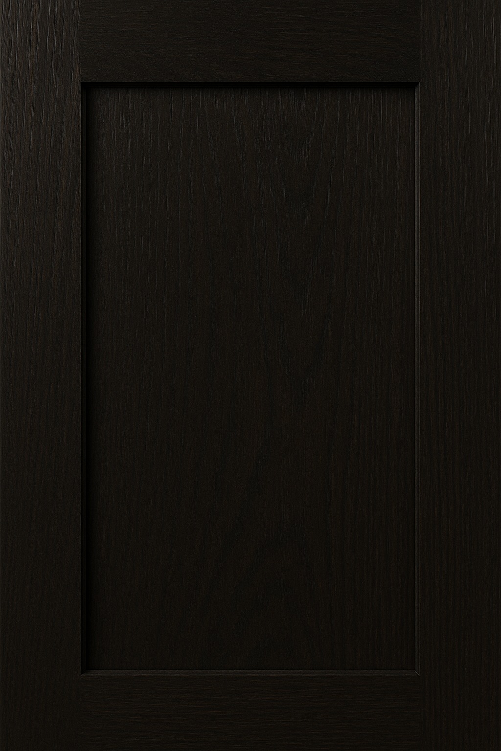 Shaker cabinet door in Jacobean stain
